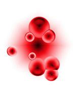 Formarea hemoglobinei